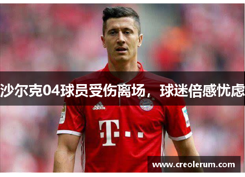 沙尔克04球员受伤离场，球迷倍感忧虑