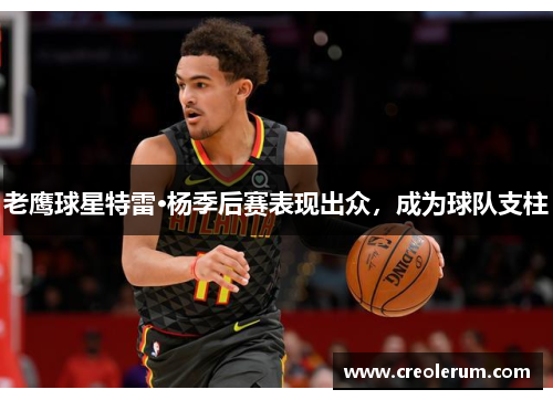 老鹰球星特雷·杨季后赛表现出众，成为球队支柱
